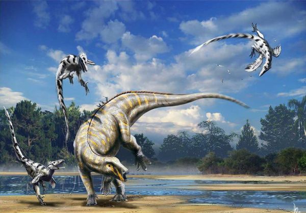 恐龙迅雷下载_怎么找高清资源