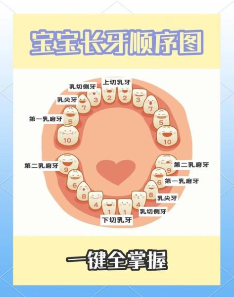 八个月宝宝还没长牙正常吗_宝宝长牙晚怎么办