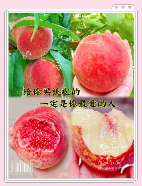 孕妇梦到买桃子_是什么意思