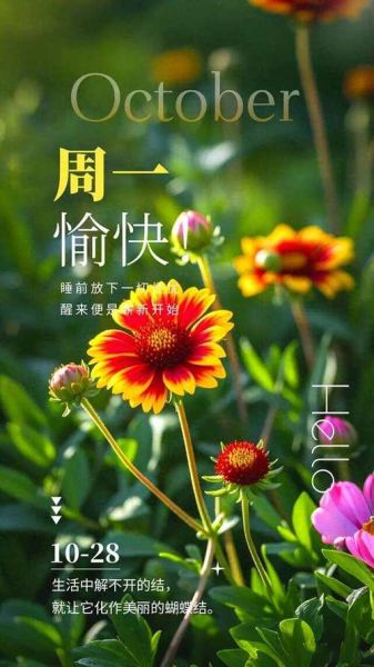 快乐星期一图片大全_如何找到高清无水印素材