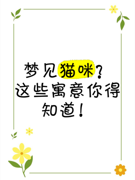 梦到一只白猫是什么意思_白猫入梦预示什么