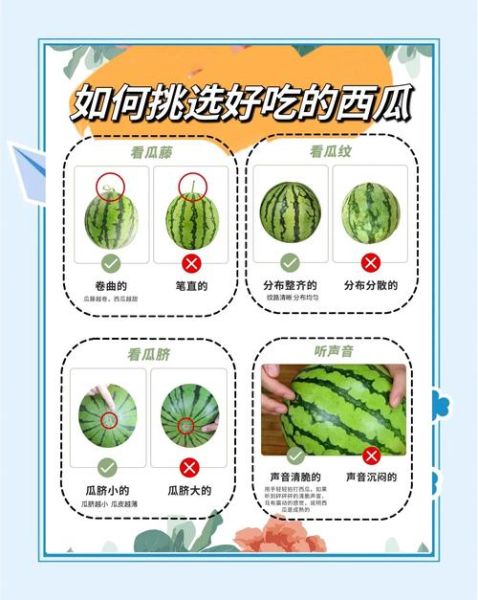 西瓜宝宝怎么挑选_西瓜宝宝怎么保存