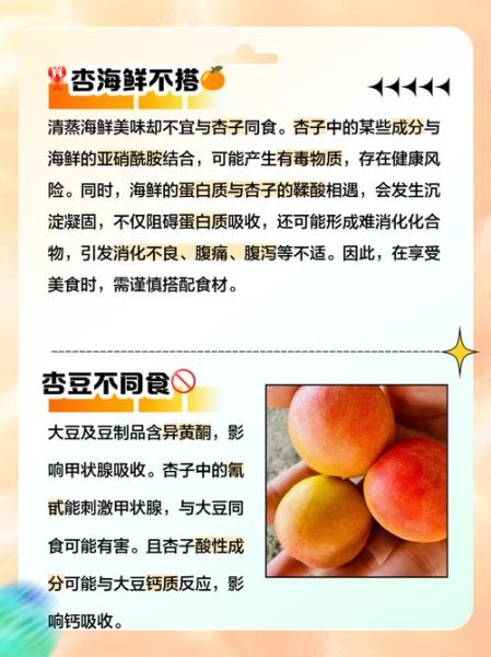 多大的宝宝可以吃杏_宝宝吃杏注意事项