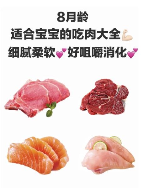 八个月宝宝能吃什么肉_宝宝吃肉怎么做