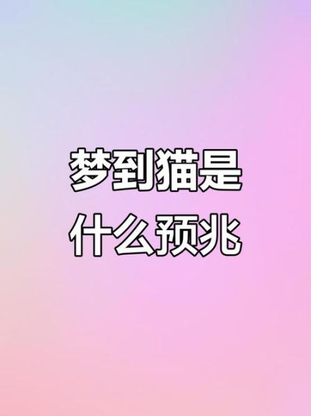 女人梦到猫是什么意思_梦见猫扑过来代表什么