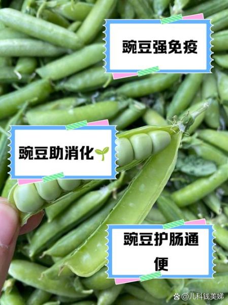 宝宝吃豌豆会过敏吗_宝宝几个月能吃豌豆