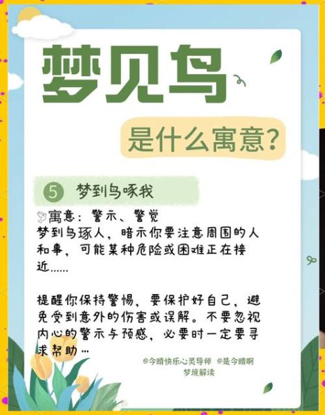 孕妇梦到鸟是什么意思_孕妇梦见鸟是生男生女