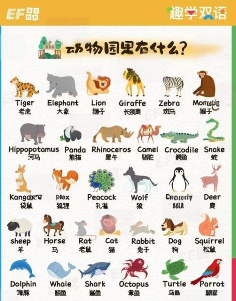动物大全图片有哪些_如何快速识别常见动物