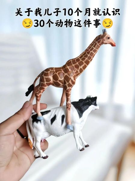 动物大全图片有哪些_如何快速识别常见动物