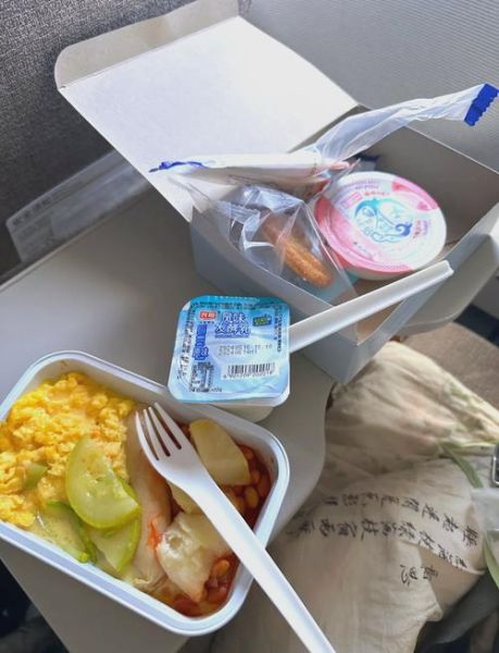 一岁宝宝坐飞机需要什么证件_婴儿登机证件清单