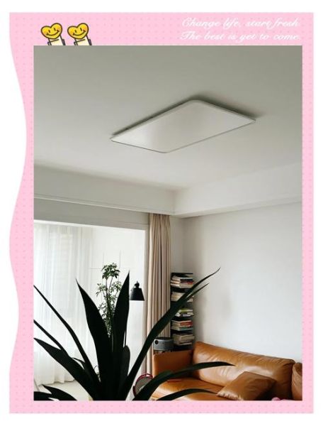 顶灯怎么选_顶灯图片大全有哪些风格