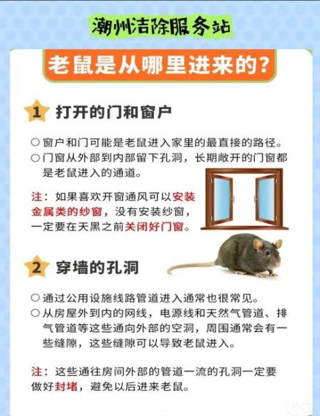 梦到家里进老鼠_是什么预兆