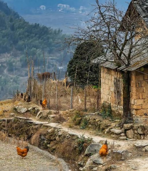 梦到大山是什么意思_梦见大山好不好