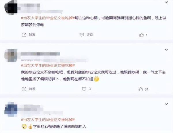 梦到学长是什么意思_梦到学长代表什么