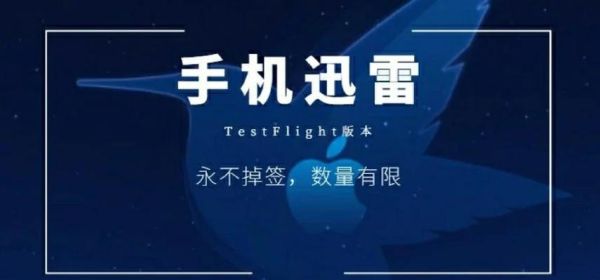 6v迅雷下载怎么用_6v迅雷下载安全吗