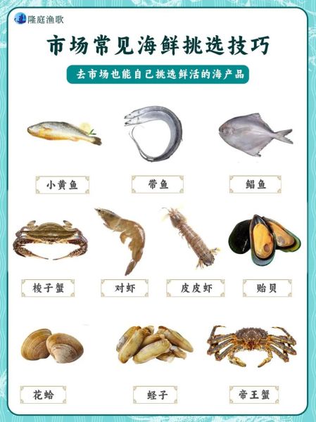 海鲜图片大全_如何挑选最新鲜的海鲜