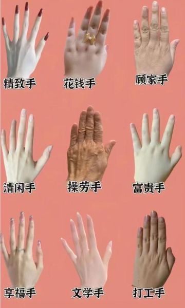 手指头图片大全_手指类型图解