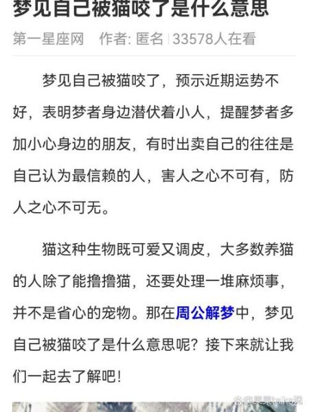 梦到猫咬是什么意思_猫咬梦境预示什么