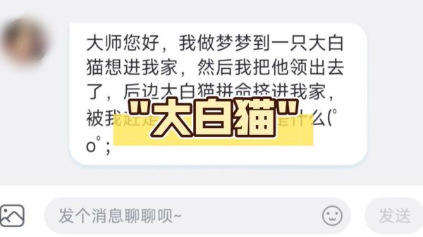 梦到养猫是什么意思_梦到养猫预示着什么