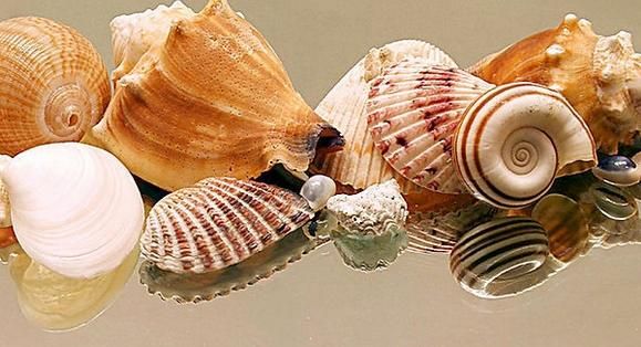 梦到捡到孩子是什么意思_周公解梦捡到婴儿预示什么