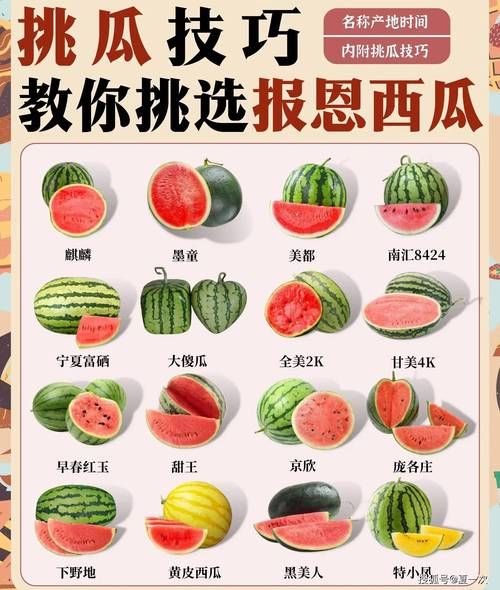 西瓜卡通图片大全_如何挑选高清素材