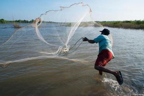 梦到捉鱼是什么意思_梦见捉鱼好不好