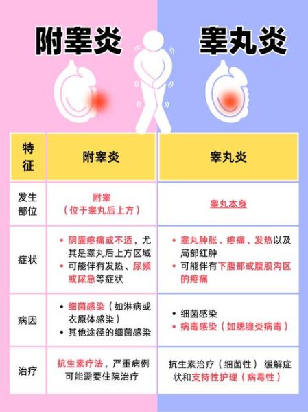 宝宝睾丸炎图片_宝宝睾丸炎症状有哪些