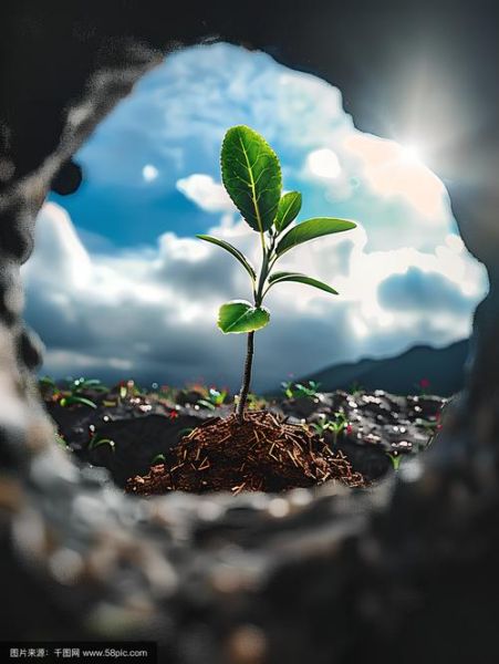 希望图片大全_如何挑选高清无水印素材