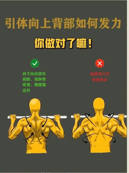 背部图片大全_背部训练动作图解