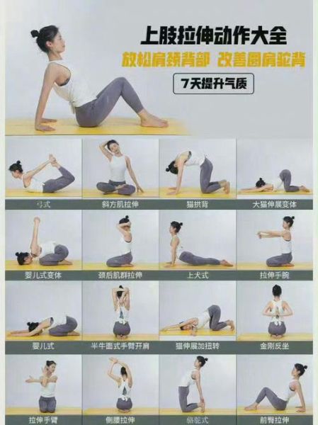 背部图片大全_背部训练动作图解