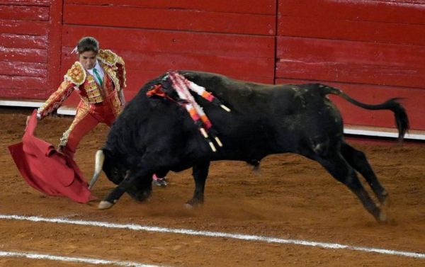 斗牛图片大全大图_高清斗牛照片哪里找